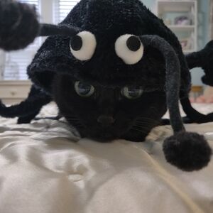 Kitty Spider Costume.